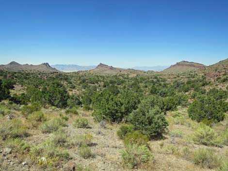 Basin and Range National Monument