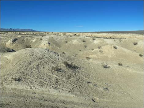 Tule Springs National Monument