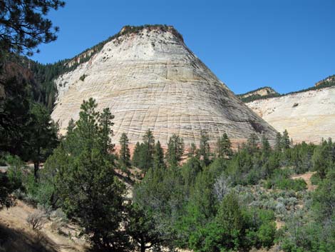 Zion National Park