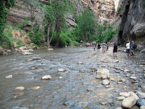 Zion National Park