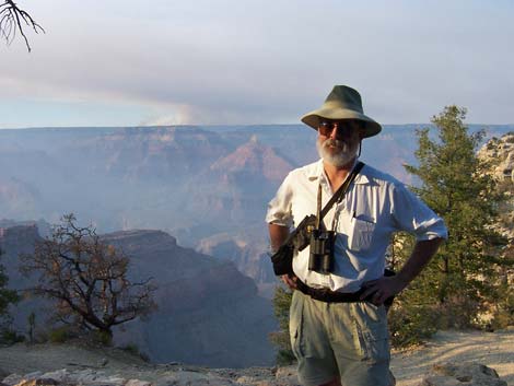 grand canyon condor