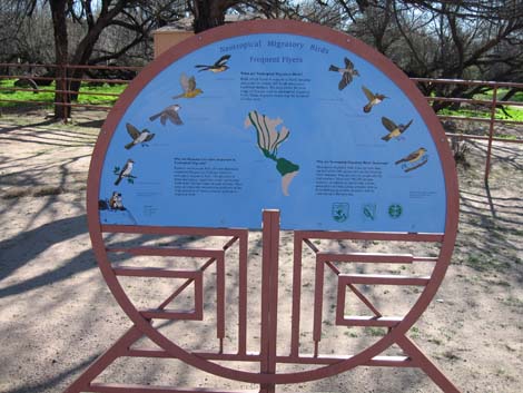 Hassayampa Roadside Rest Area