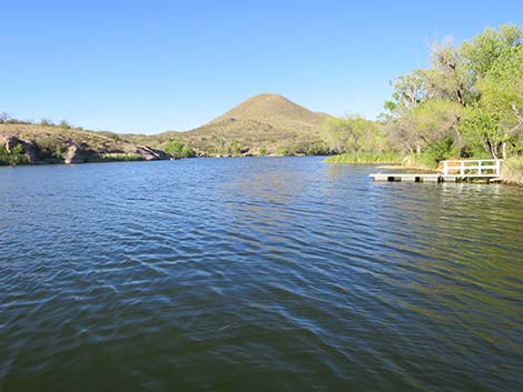 Patagonia Lake State Park