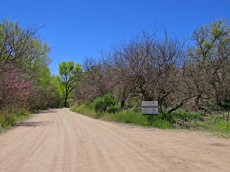 Patagonia-Sonoita Creek Preserve