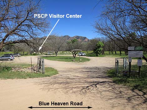 Patagonia-Sonoita Creek Preserve