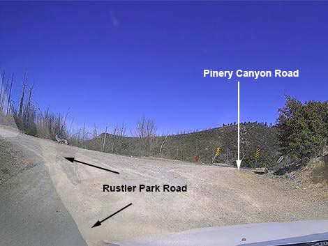 Rustler Park Road