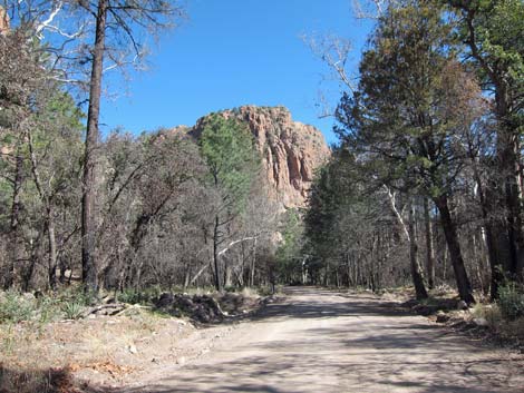 South Fork Road