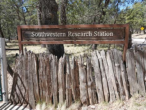 Southwestern Resesearch Station