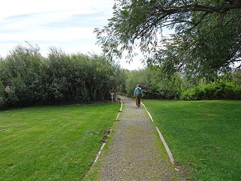 Boardwalk Trail