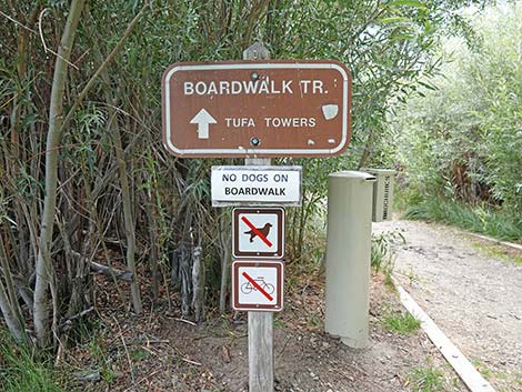 Boardwalk Trail