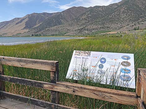 Boardwalk Trail