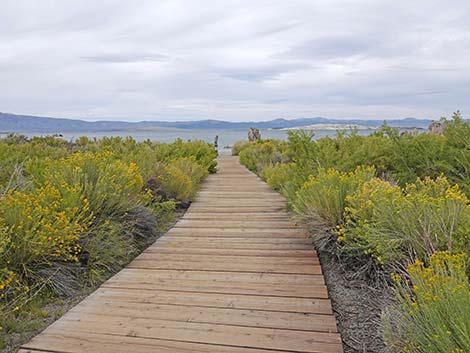 South Tufa Towers Trail