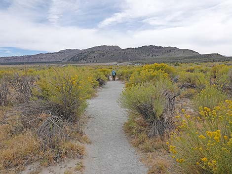 South Tufa Towers Trail