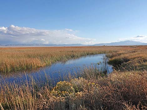 Ruby Marsh National Wildlife Refuge