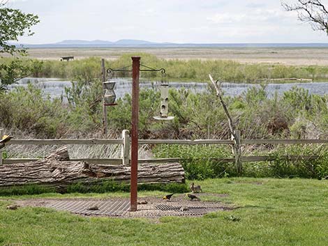 Malheur National Wildlife Refuge