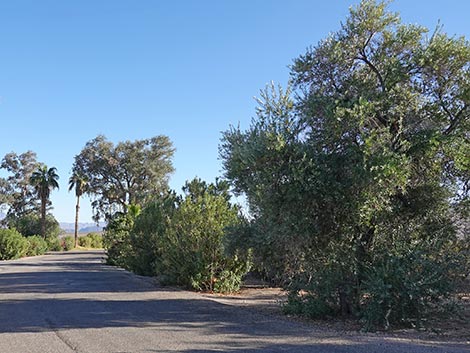 Las Vegas Bay Campground