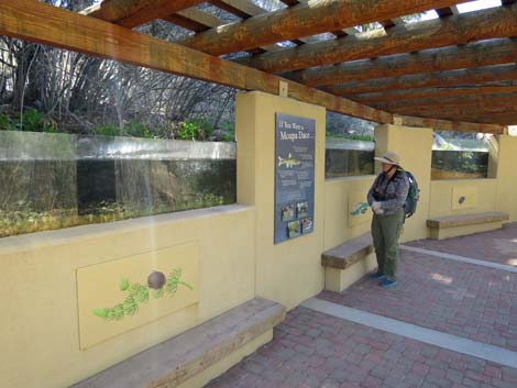 Moapa Valley National Wildlife Refuge