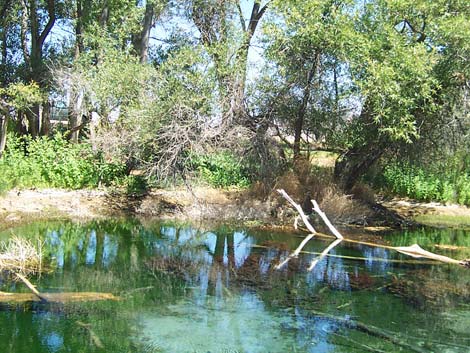 Crystal Spring