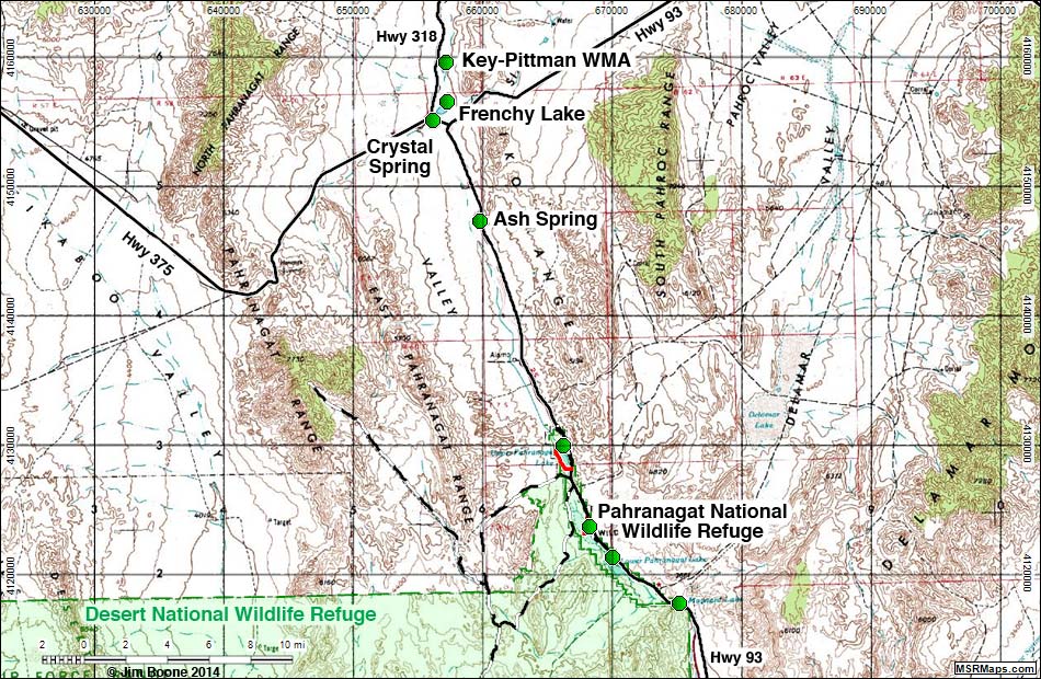 Birding Around the Pahranagat Valley