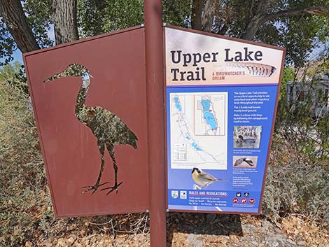 Pahranagat NWR