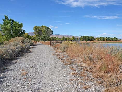 Pahranagat NWR