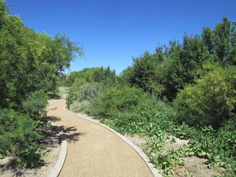 Warm Springs Natural Area