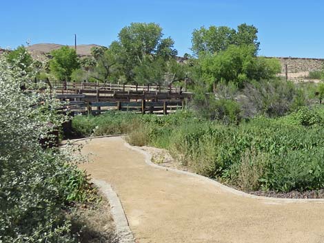 Warm Springs Natural Area