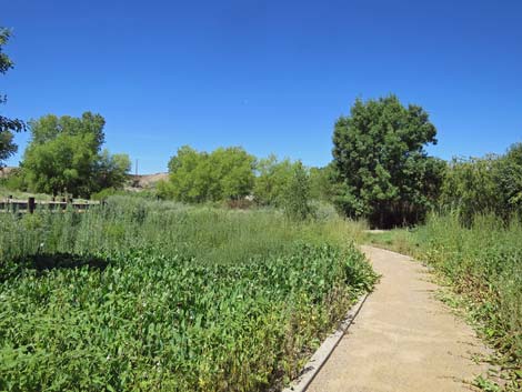 Warm Springs Natural Area