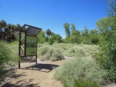 Warm Springs Natural Area