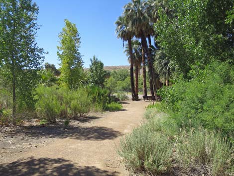 Warm Springs Natural Area