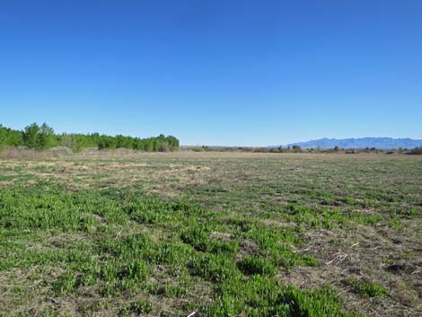 Warm Springs Natural Area