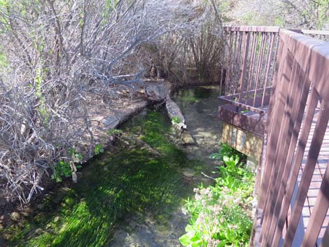 Warm Springs Natural Area