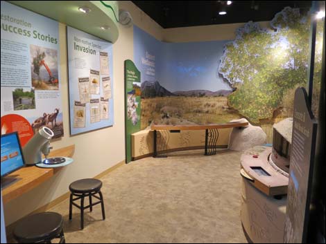 Ash Meadows Visitor Center