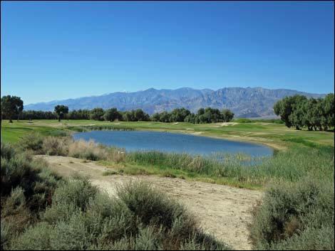 Furnace Creek