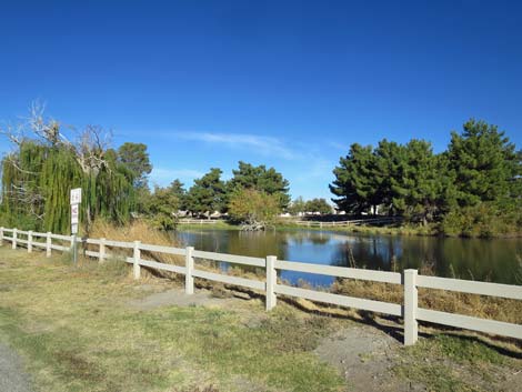 Discovery Park, Pahrump