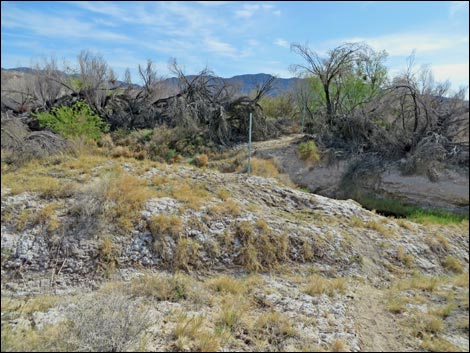 Aqua Birding Trail