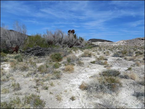 Aqua Birding Trail