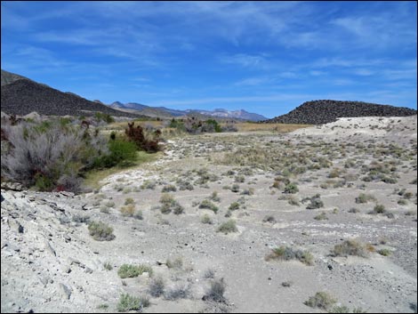 Aqua Birding Trail