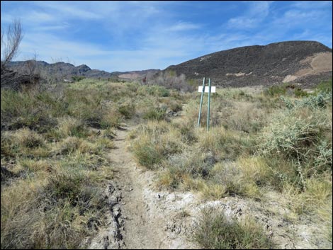 Aqua Birding Trail