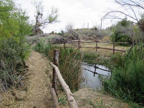 Swimming Pool Trail