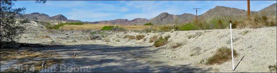 Shoshone White Trail