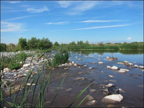 Duck Creek Trails