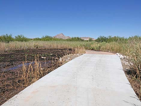 Duck Creek Trails