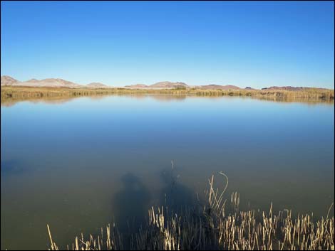 Duck Creek Trails