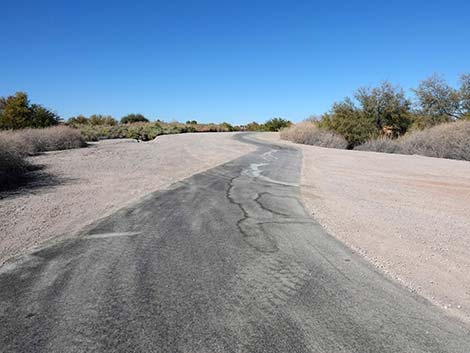 Dragonfly Divide Trail