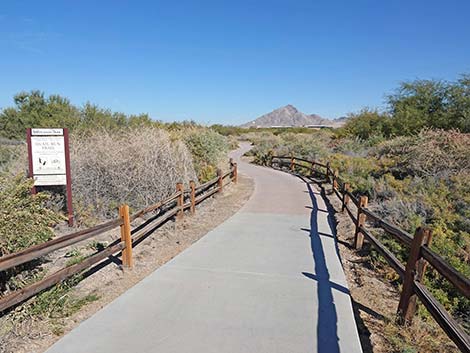 Quail Run Trail