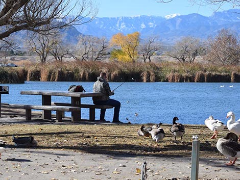 Floyd Lamb Park