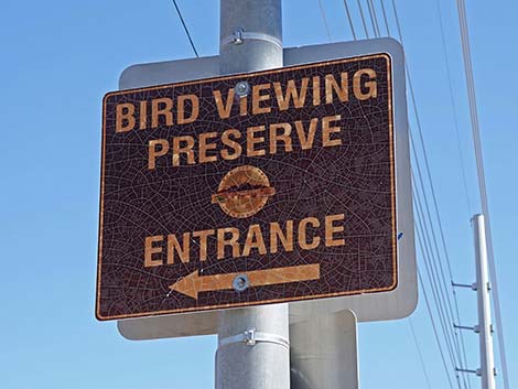 Henderson Bird Viewing Preserve