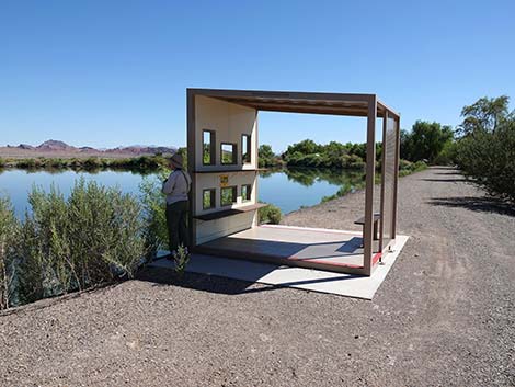 Henderson Bird Viewing Preserve