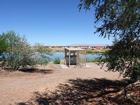 Henderson Bird Viewing Preserve